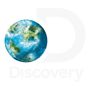 Discovery